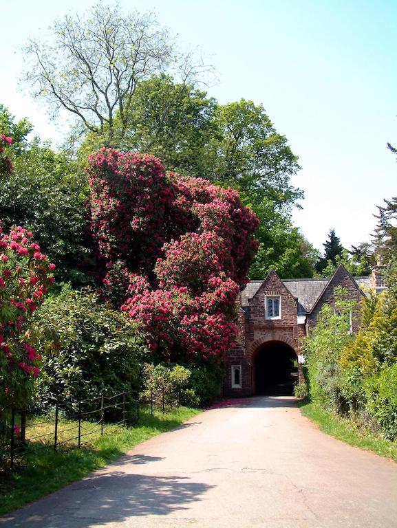 מלון טורקוואי Aveland House Babbacombe מראה חיצוני תמונה